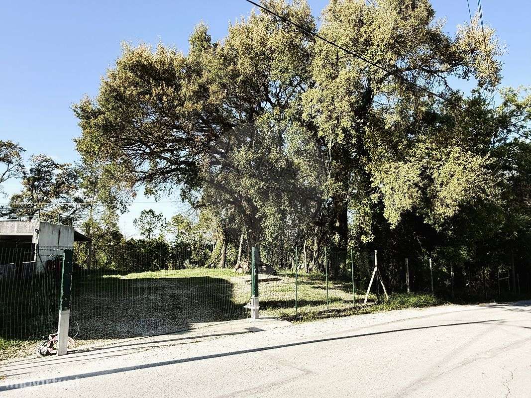 Terreno  para venda-3