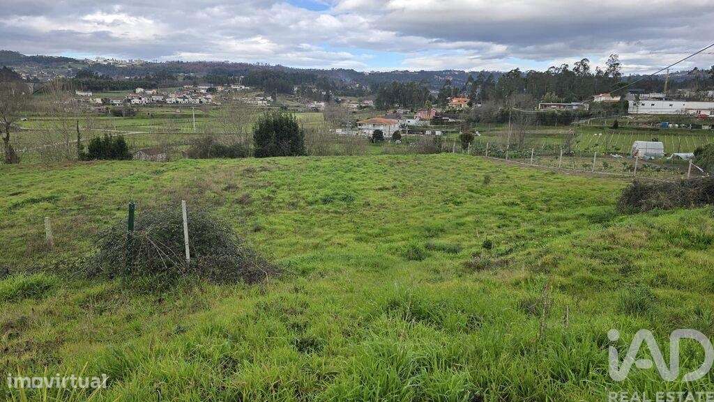 Terreno em Vila meã de 4880,00 m2 - Grande imagem: 4/6