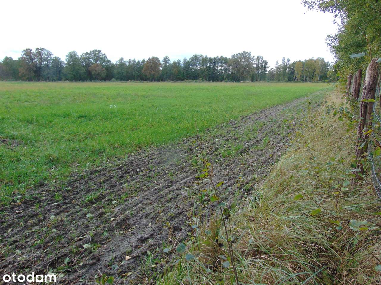 Działka usługowo-inwestycyj. 4,7 ha w Zielonej Górze (także s. paliw) - Pełny obrazek: 2/8