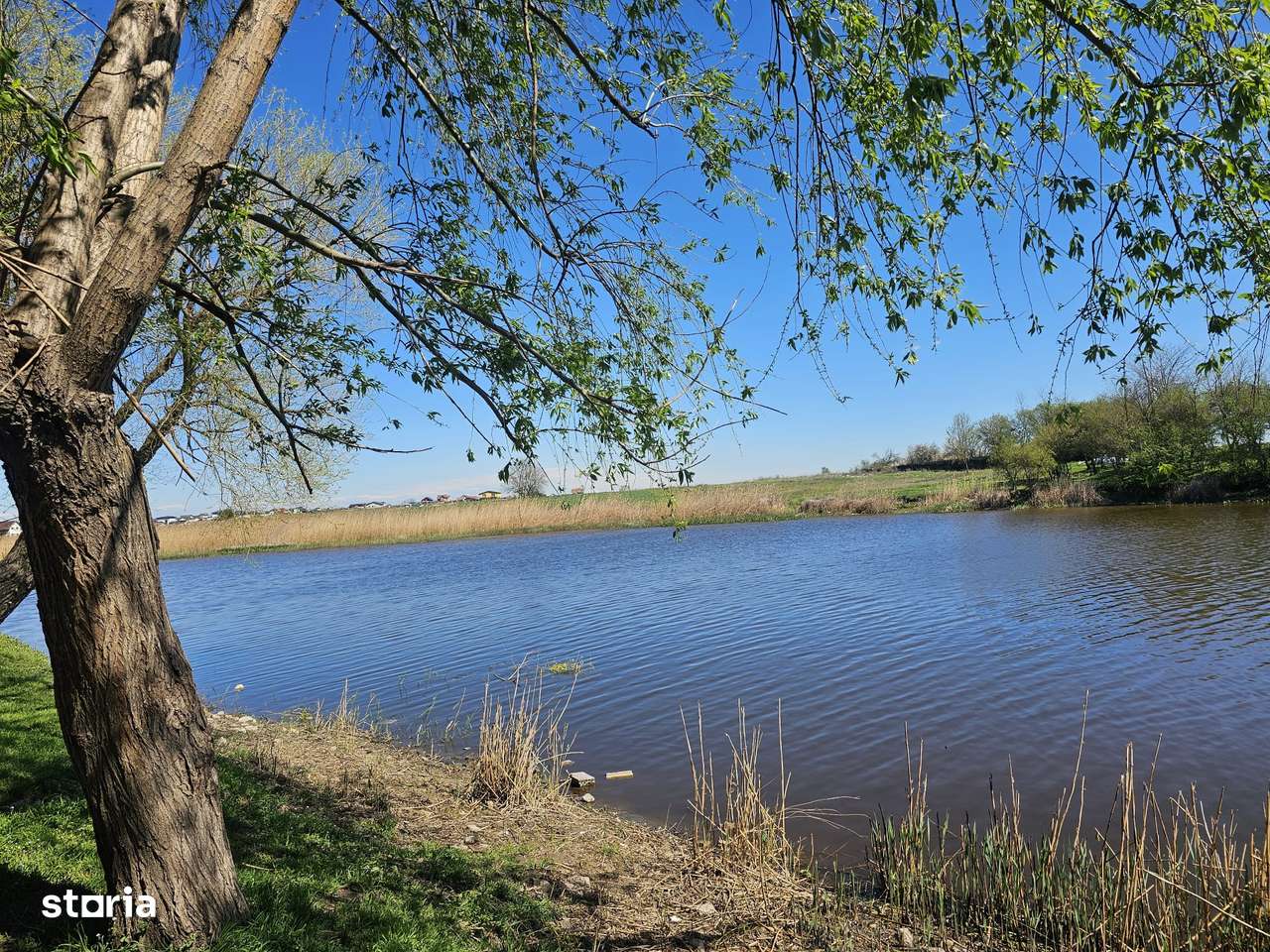 TEREN imprejmuit direct la lac – 2 loturi comuna Berceni, Ilfov.-3