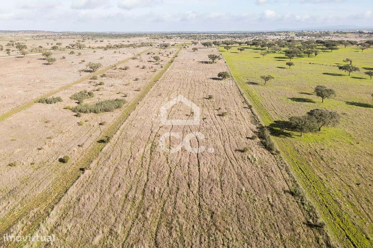Terreno de 5,4 ha c/ Viabilidade de Construção | Capelins, Alandroal-43