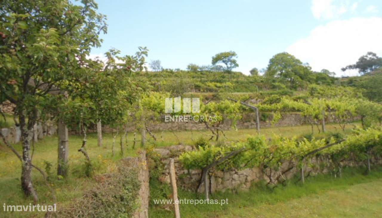 Venda Terreno, Penha Longa, Marco de Canaveses - Grande imagem: 5/21