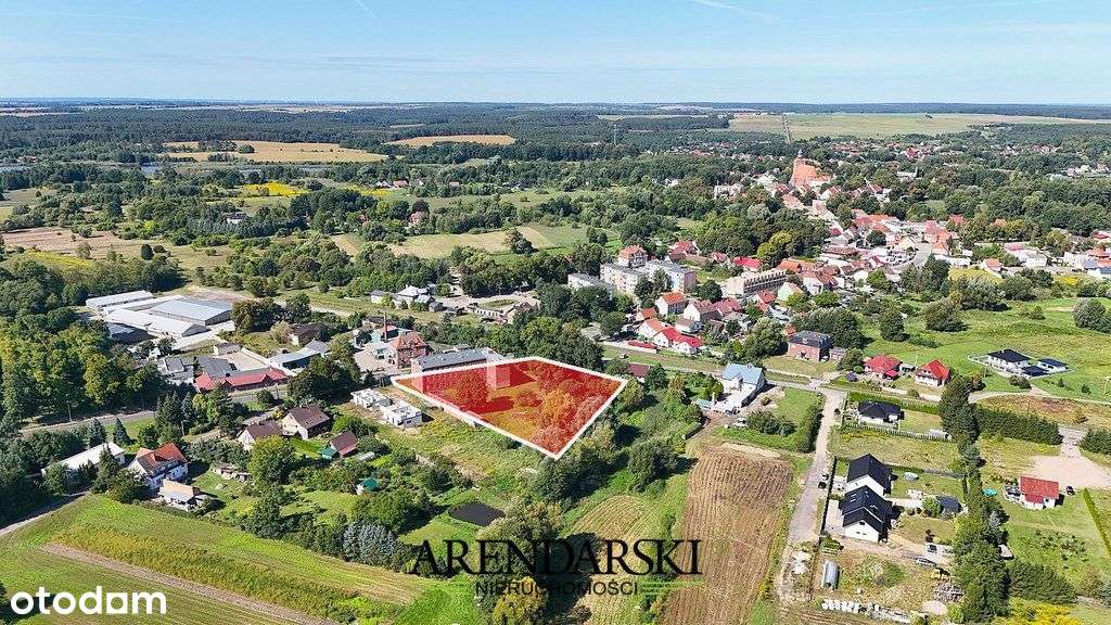 Twoje Miejsce na Mapie Sukcesu - Ośno Lubuskie - Pełny obrazek: 4/20