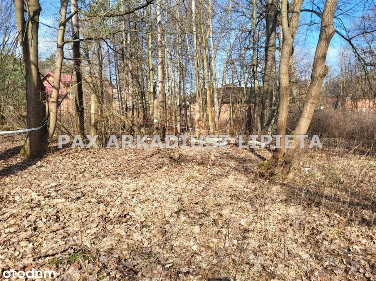 Działka, 4 025 m², Boruszowice-4