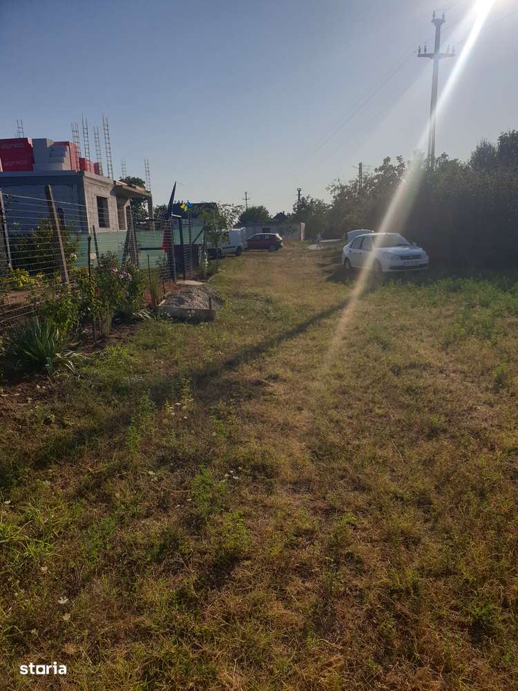 Vanzare teren suprafata de 720 mp. Zadareni - Bodrogul Nou-6