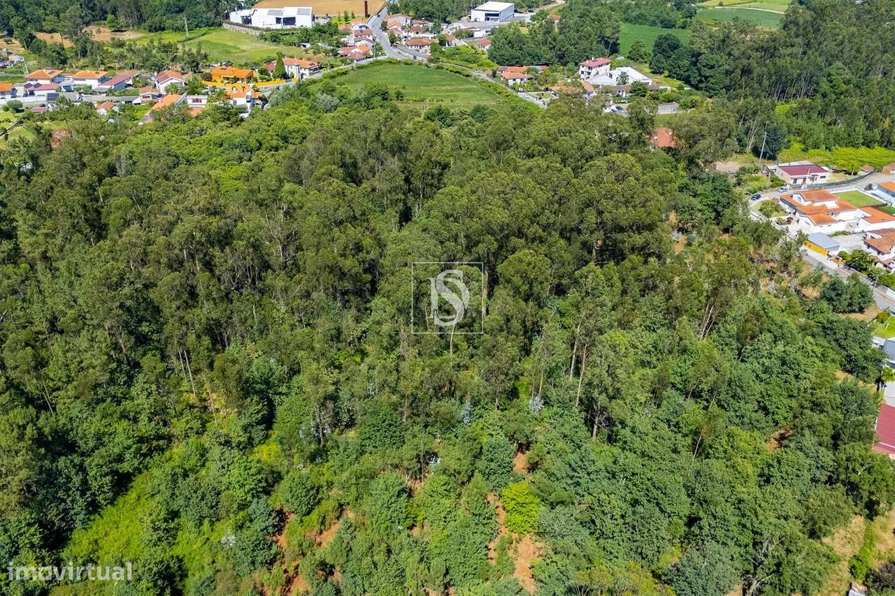 Terreno misto com potencial de construção em Barcelos-13