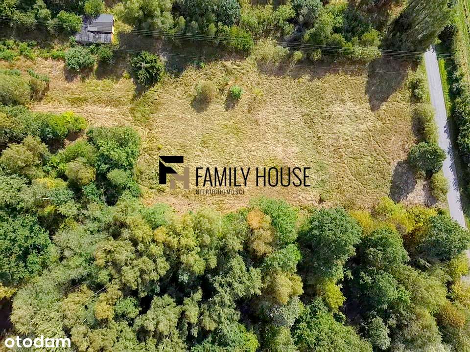 Działka 2600m2 Brzeście - Pełny obrazek: 4/10