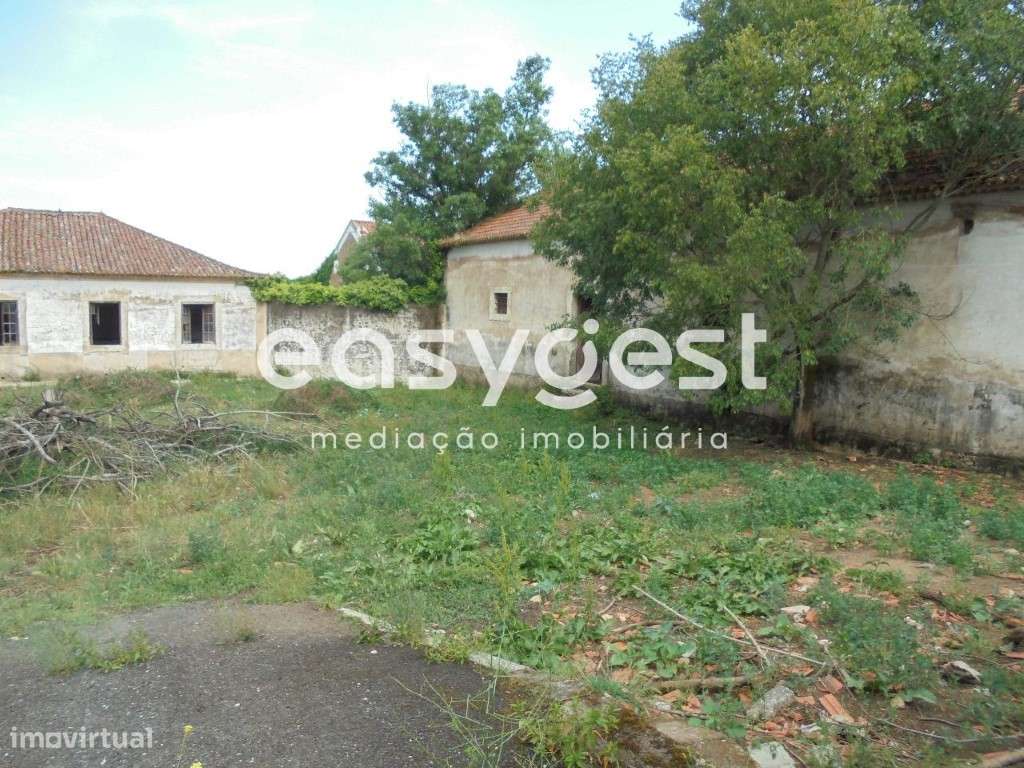 Quinta com moradia T6 em Constância, Santa Margarida da Coutada - Grande imagem: 4/60