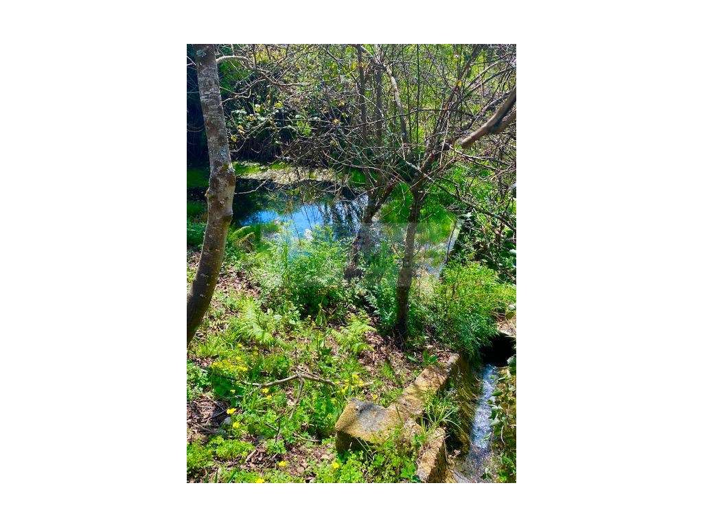 TERRENO PARA CONSTRUÇÃO EM CEDRIM - Grande imagem: 4/11