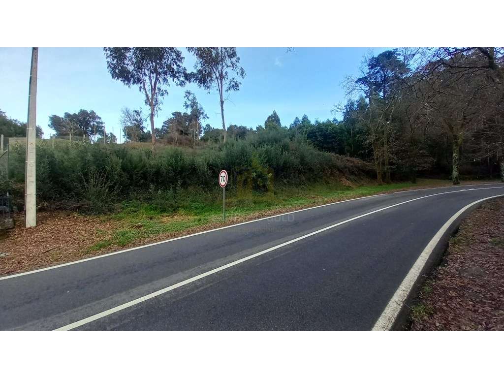 Terreno para Serviços ou Lazer - Vista 5