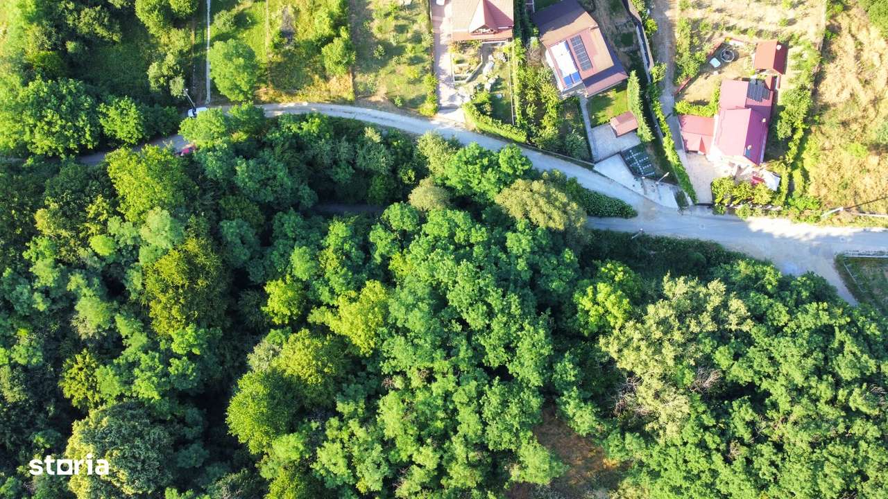 TEREN 6700 MP, INTRAVILAN LANGA PADURE - Imagine principală: 4/17