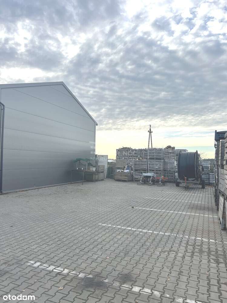 Hala Chłodnia 100m2 Zakroczym-4