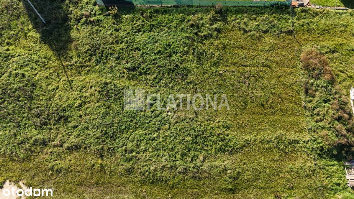 działka w spokojnej okolicy blisko Iławy - Pełny obrazek: 4/11