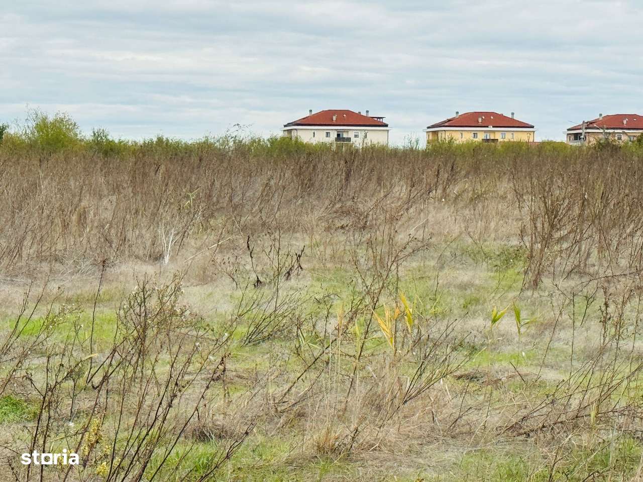 Teren extravilan Chitila/Mogosoia 15895mp - Imagine principală: 4/8