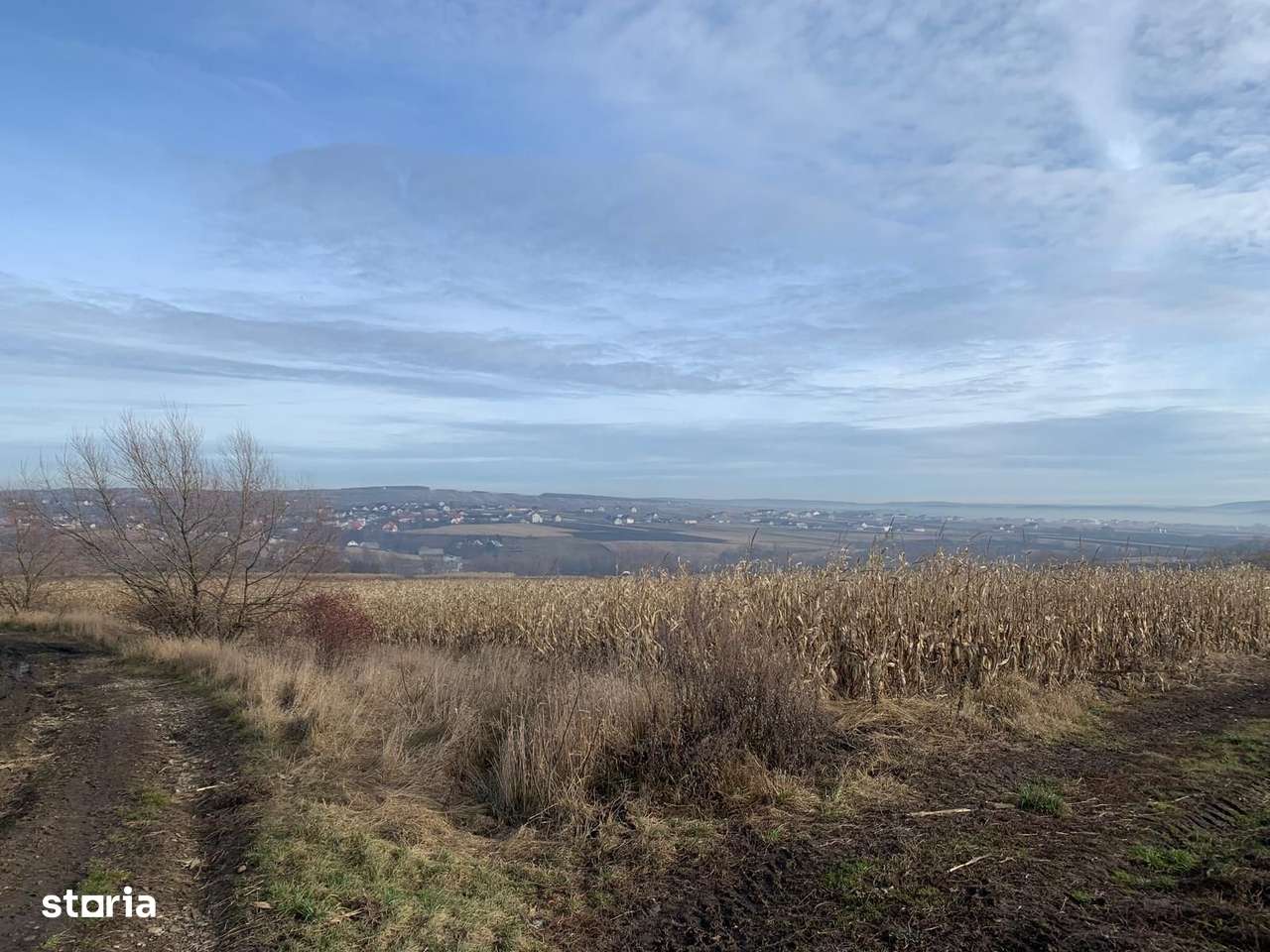 Teren intravilan de vânzare | Cajvana | 7.800 mp-3