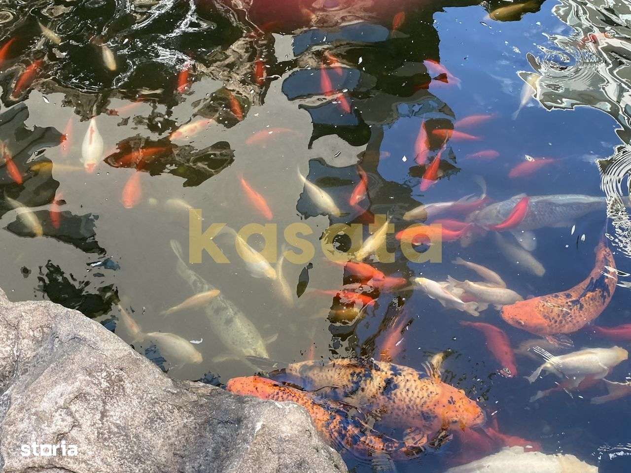 Garsonieră modernă de închiriat – North Lake Herăstrău - Imagine principală: 4/11