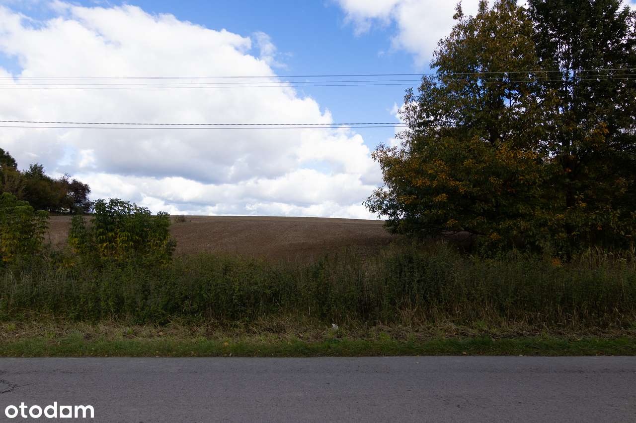 Działka budowlana Chmiel - Kolonia-2