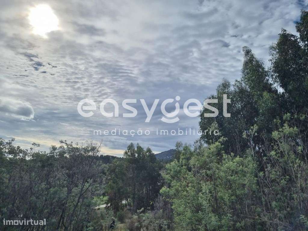 Terreno Rústico com dependência agrícola no Sidral/Covões - Grande imagem: 3/46