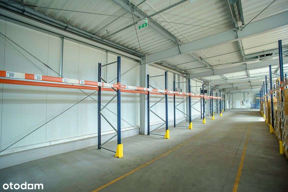 Hala magazynowo - ekspedycyjna - Janowiec Wlkp. - Pełny obrazek: 5/13