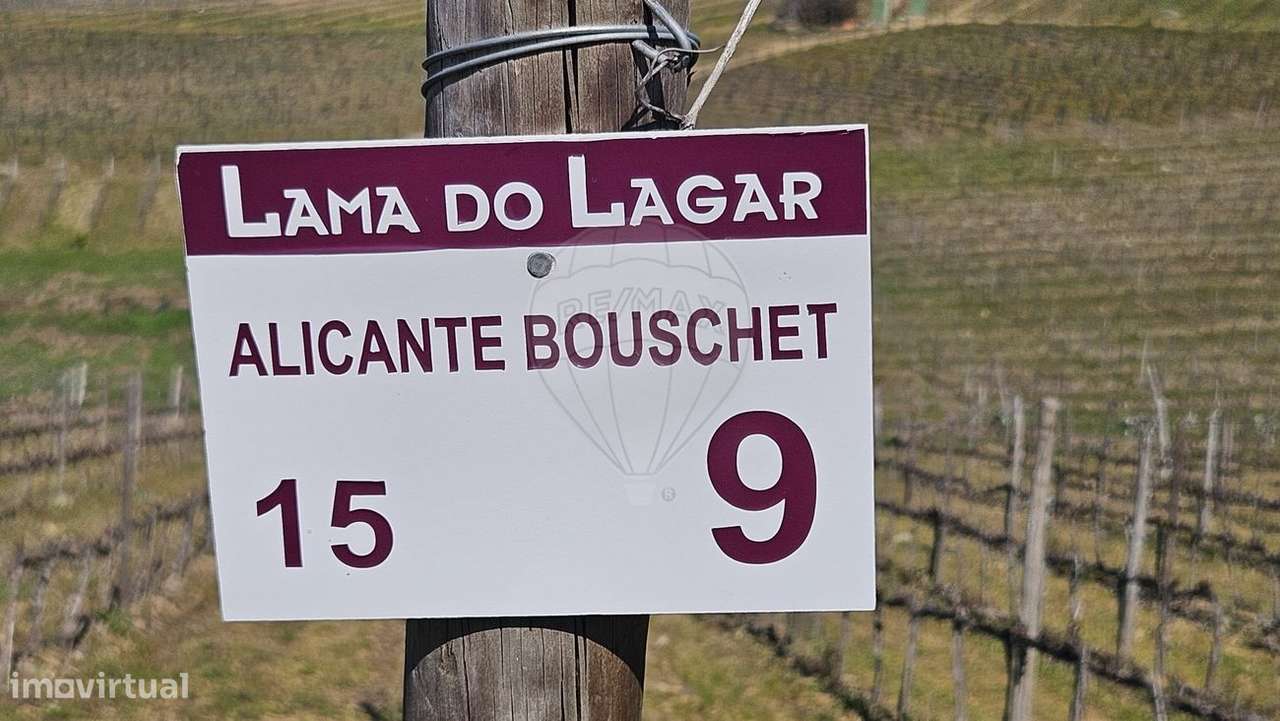 Terreno  para venda - Grande imagem: 4/23