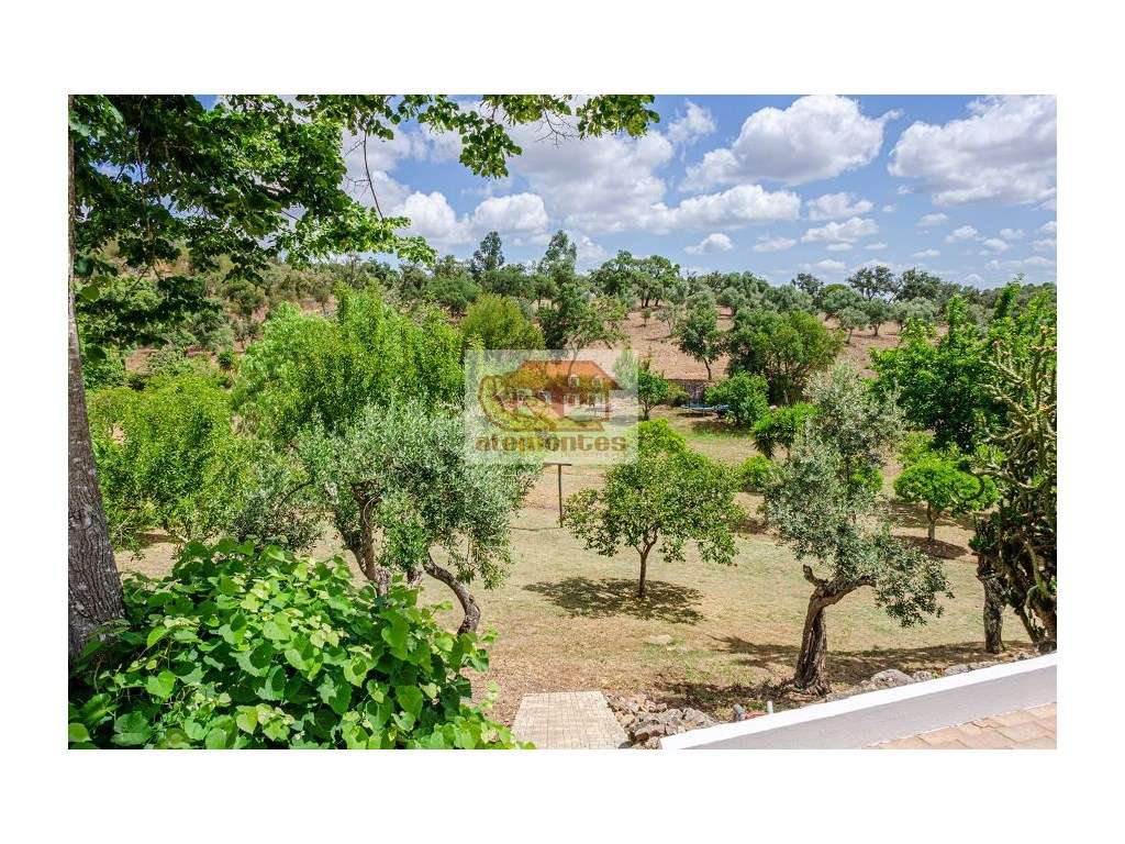 Monte Alentejano com 3 casas na Serra de Grândola!-19