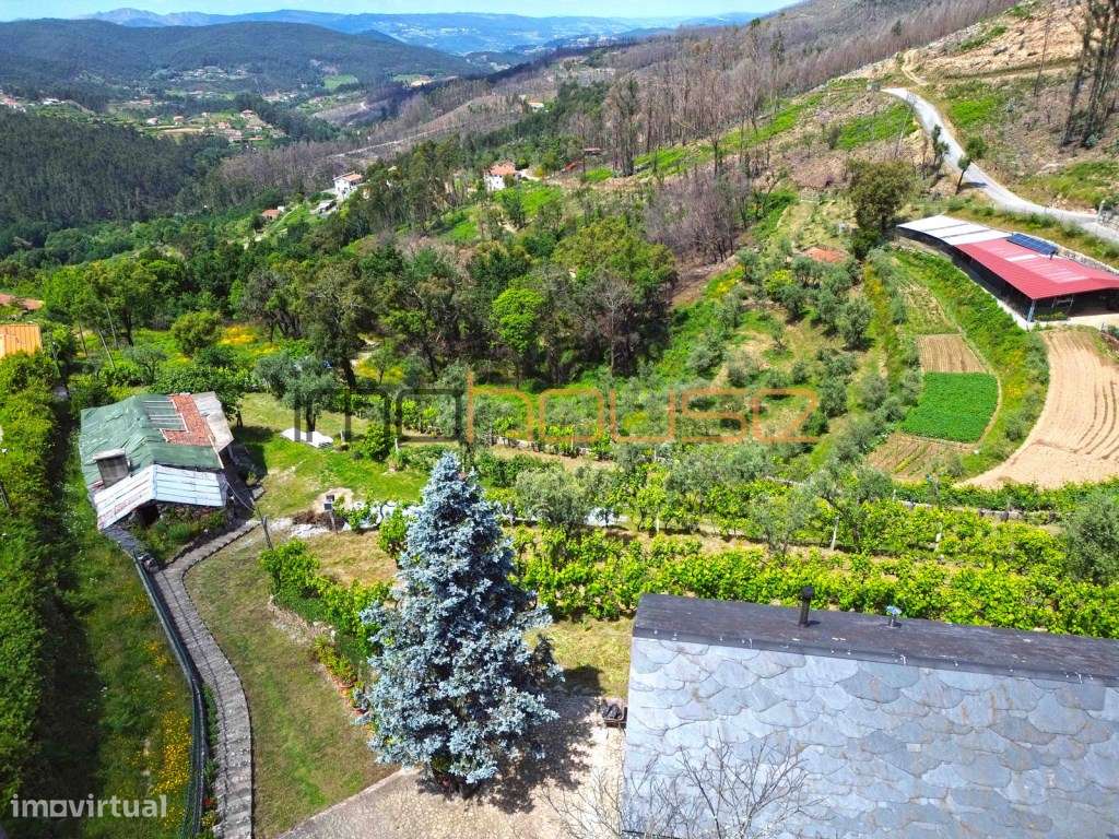Quinta agrícola - 45 minutos do Porto-10