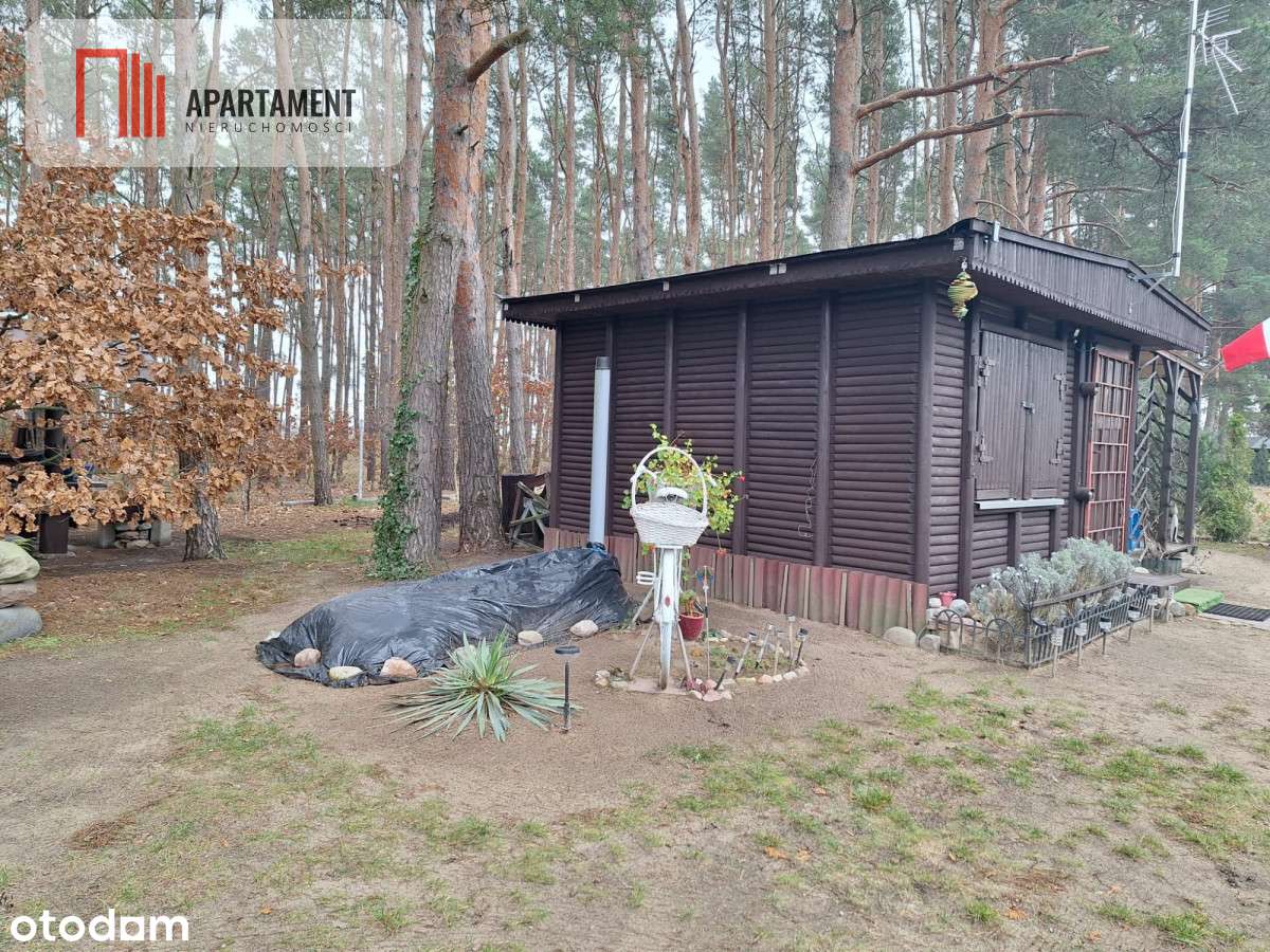 Działka 660 m² z domkiem 16 m², 500 m od jeziora - Pełny obrazek: 5/13