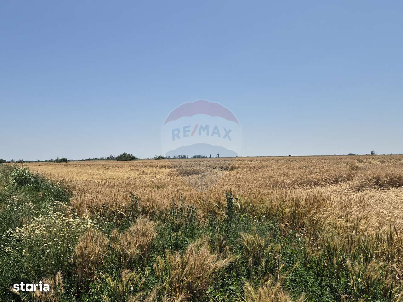 Teren de vanzare in apropiere de A0 - investitie si dezvoltare-5