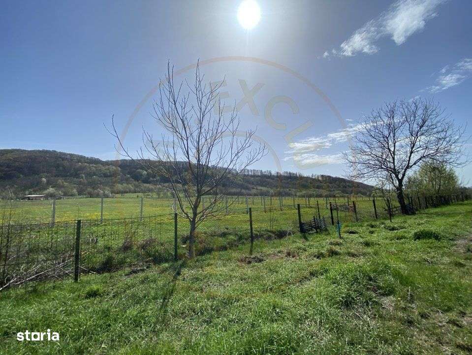 Teren intravilan cu grajduri si anexe – Aninoasa AG - Imagine principală: 5/9