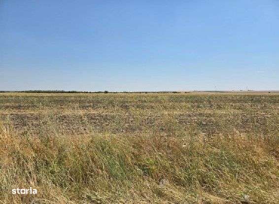 Teren extravilan Smardioasa, cota 1/6, ID: R2688427 - Imagine principală: 5/9