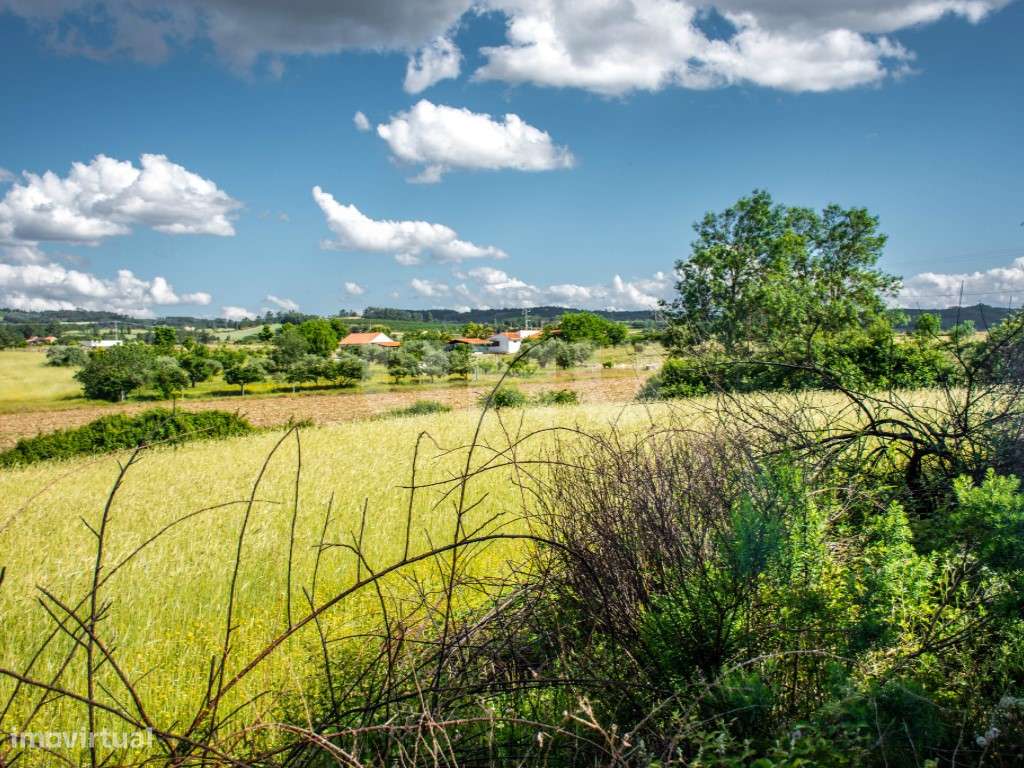Terreno rústico em Monte do Bispo (Caria) com 1,15 ha. - Grande imagem: 4/8