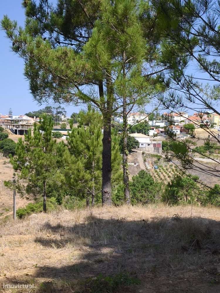 Terreno urbano com 1900m2 no Sobreiro | Mafra - Grande imagem: 5/28