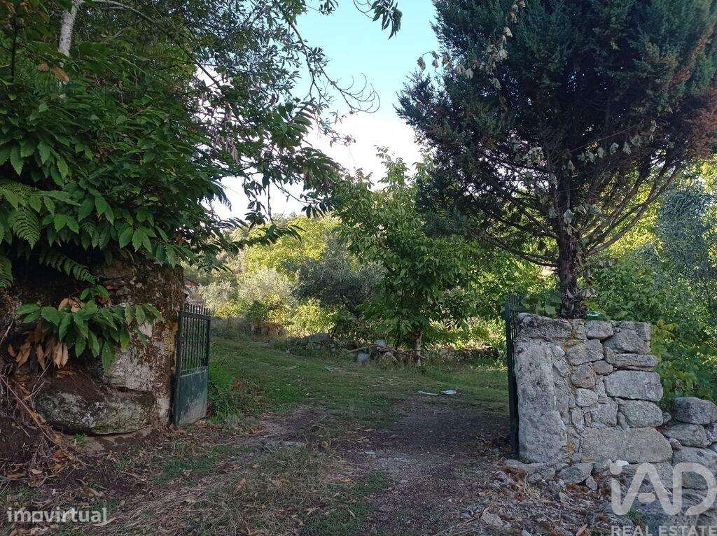 Terreno Agrícola em Sendim-0