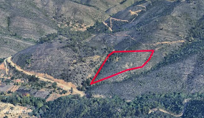 Terreno de Medronheiros para Venda na Serra de Monchique – O seu futur-0