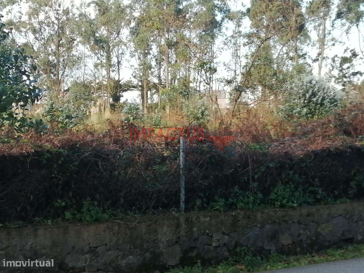 Terreno de 10 851m2 em Lavra - Grande imagem: 5/18