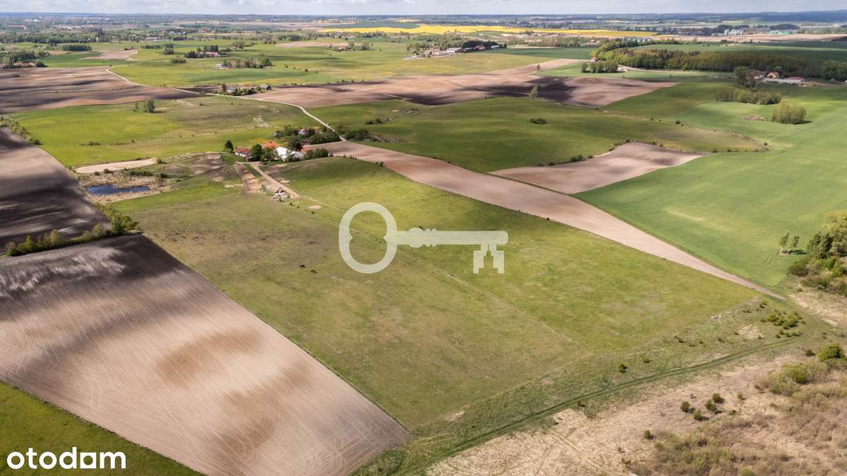 Wyjątkowa nieruchomość | Upałty - Pełny obrazek: 4/14