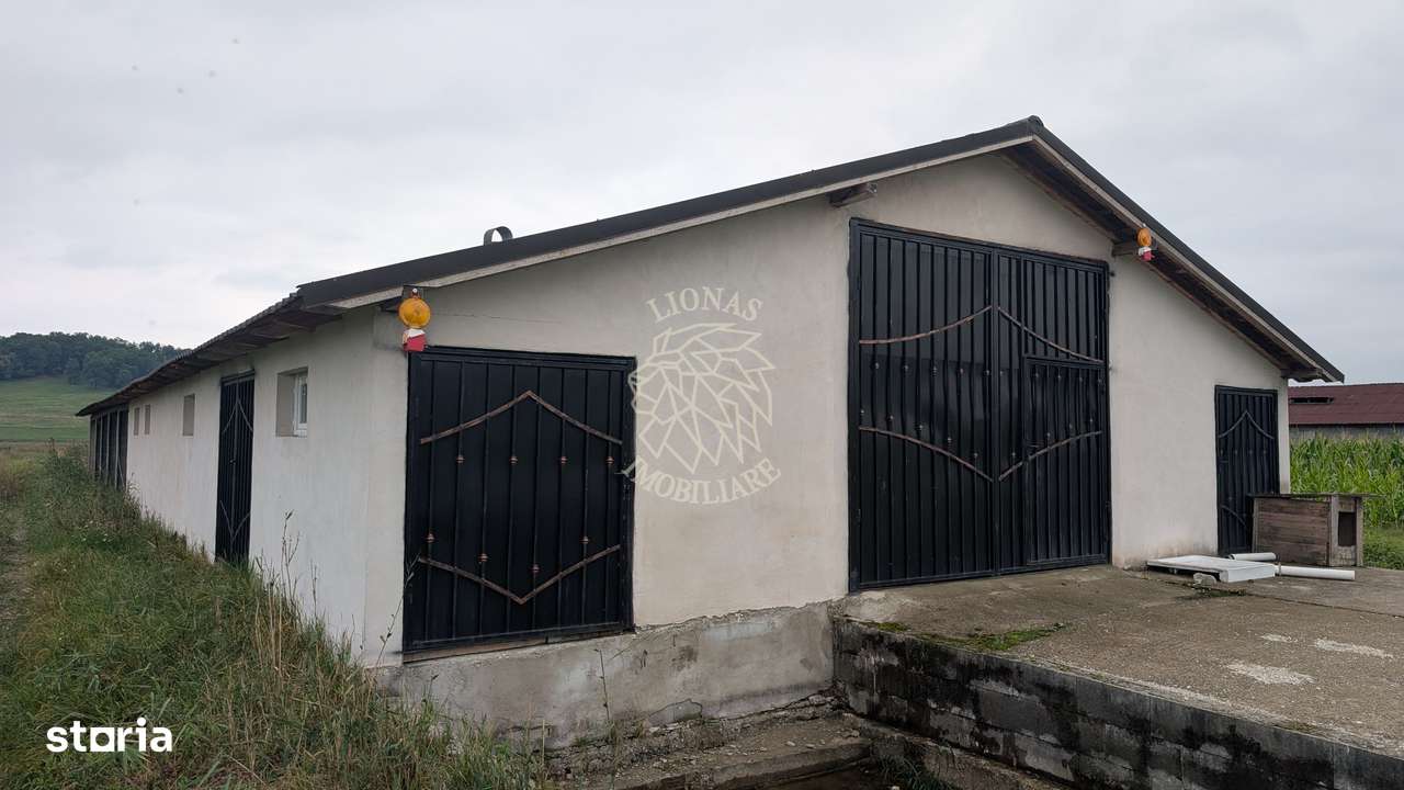 Hala Noua 400 mp-teren 5000 mp-ideal ferma, productie-Cepari - Imagine principală: 3/3