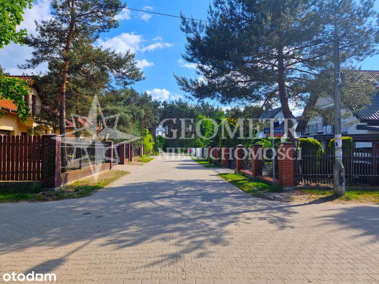 Działka leśno-budowlana na granicy z Legionowem - Pełny obrazek: 5/8