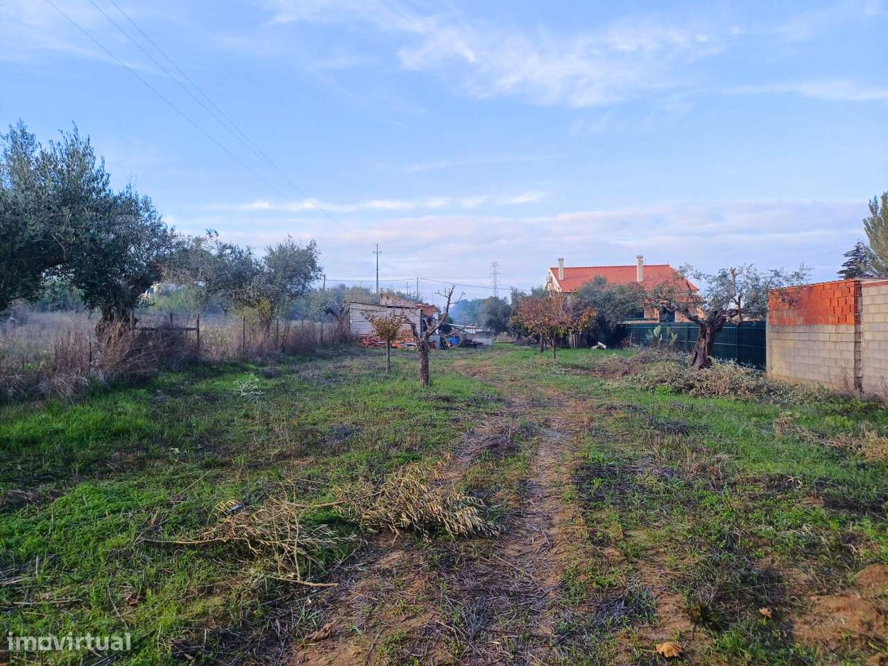 Terreno rústico em Alcanhões com 4.560 m² - Grande imagem: 5/9