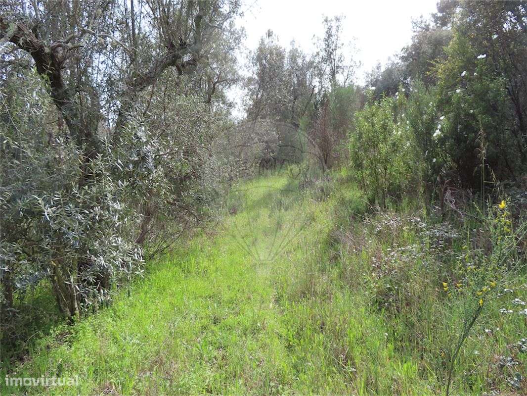 Quinta  para venda - Grande imagem: 3/17