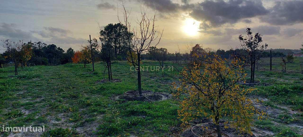 Quinta com Moradia para vender na Herdade de Almada em Foros de Almada-33