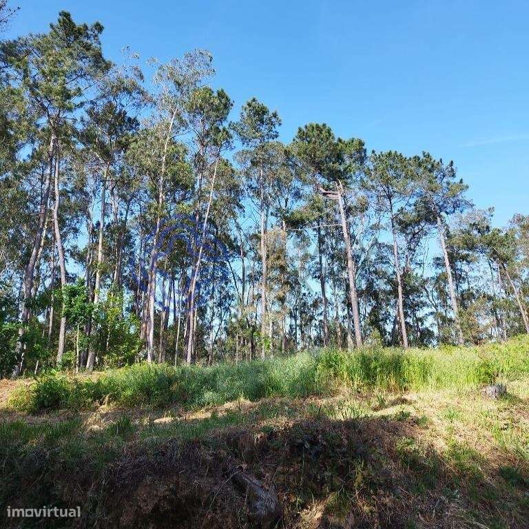 Terreno Rustico 6844 m2 para construção em Souto , Stª Maria da Feira - Grande imagem: 3/21