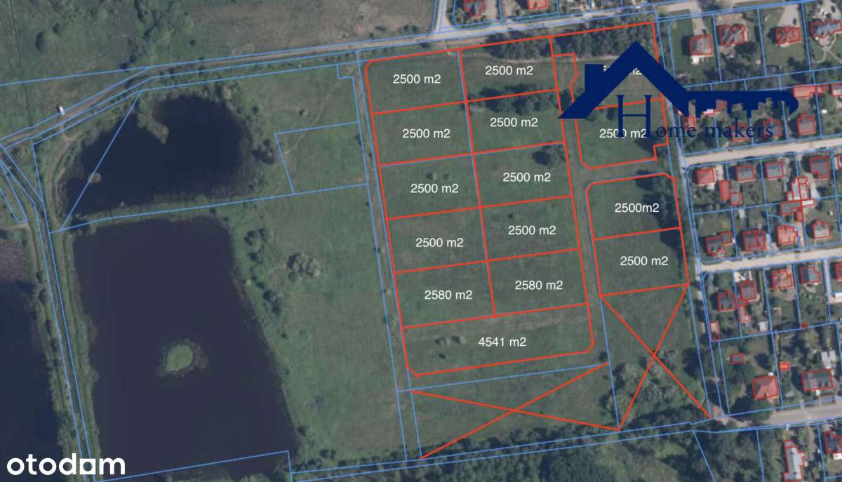 Baniocha 2500 m² | media | las - Pełny obrazek: 5/5