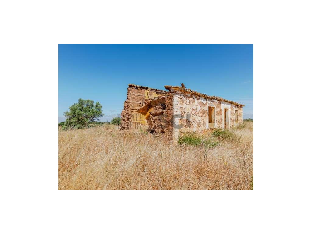 Pequena Quinta com Ruína para Recuperar em Vila Nova de São Bento-25