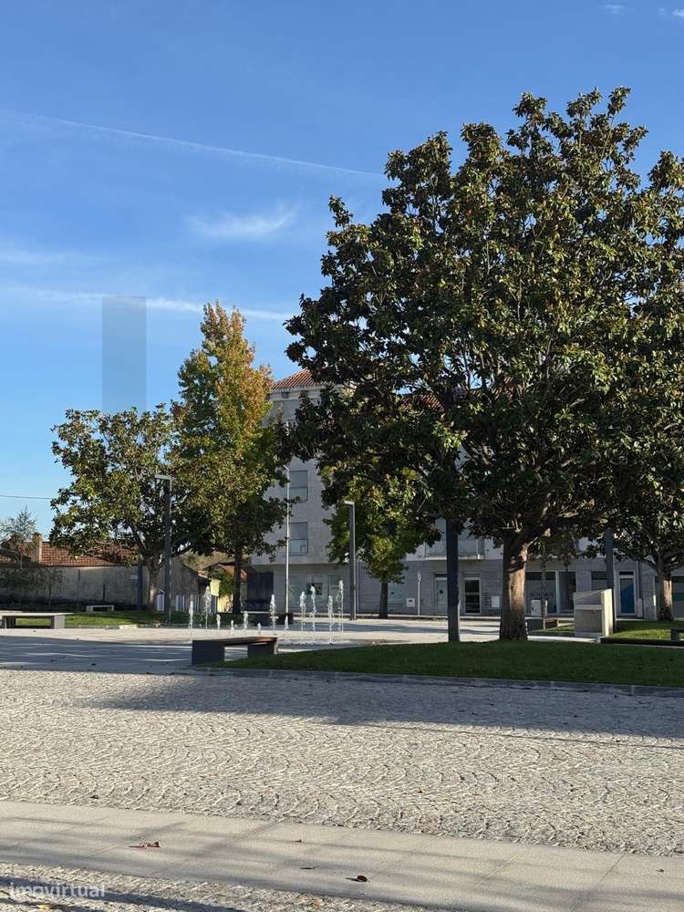 Oportunidade Única de Investimento em Carregal do Sal-23