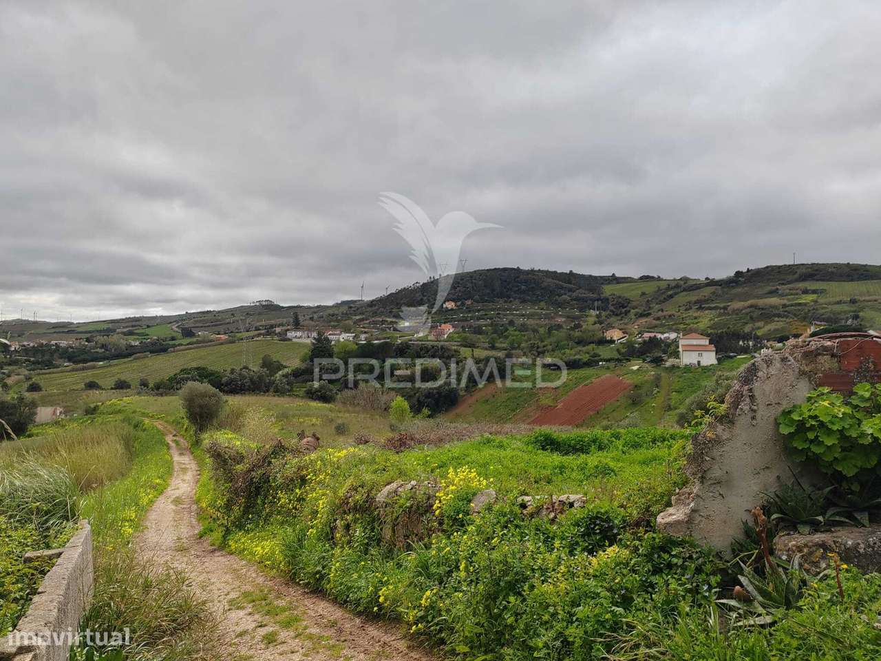 Terreno Caixaria c/Projeto Aprovado - Grande imagem: 3/8
