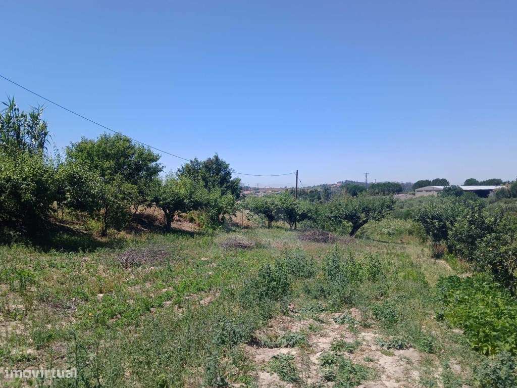 Terreno com projeto aprovado para moradia T3, em Cortes, Leiria.-7