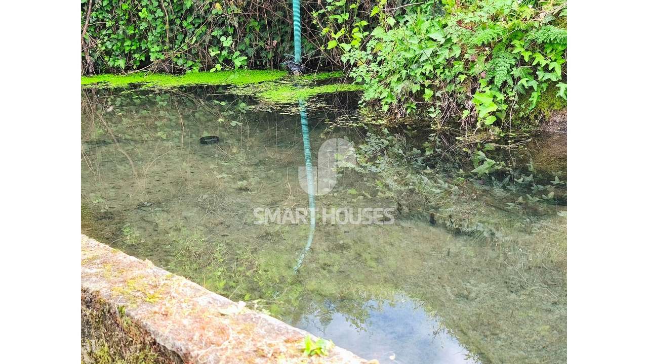 Quintinha em Vila do Mato-10