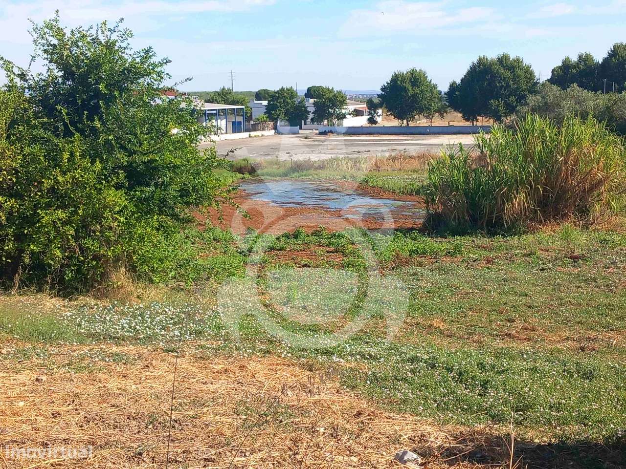 Terreno no perímetro urbano de Serpa - 8250m2-8