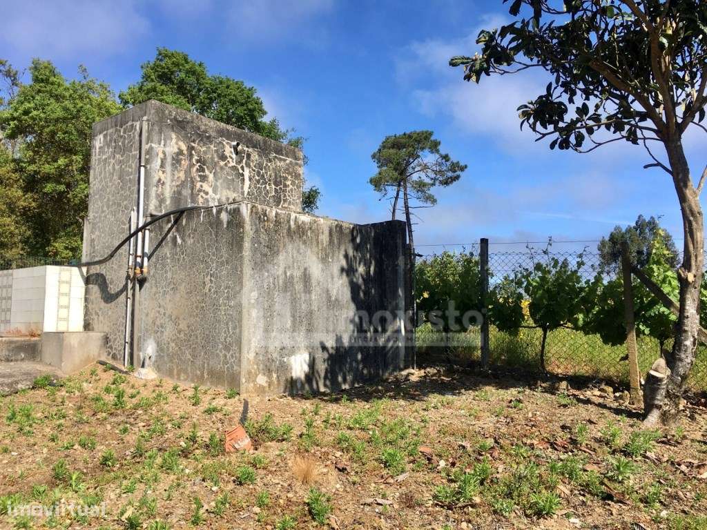 Casa de Campo T3 em Arega, Figueiró dos Vinhos-10